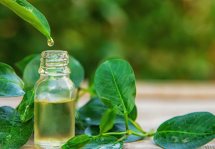 Apotheke zur heiligen Dreifaltigkeit Berndorf - Bachblüten