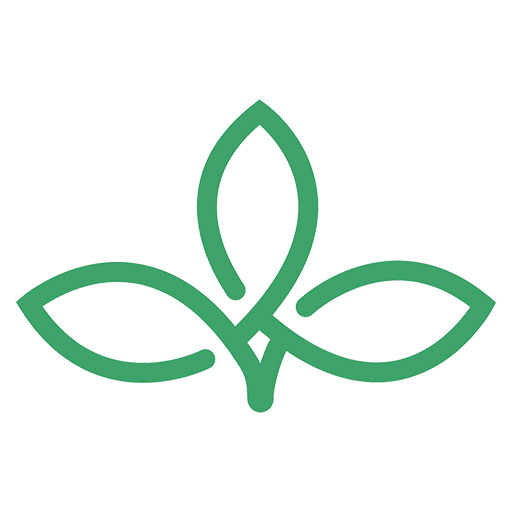 Icon Hl.Dreifaltigkeits Apotheke Berndorf